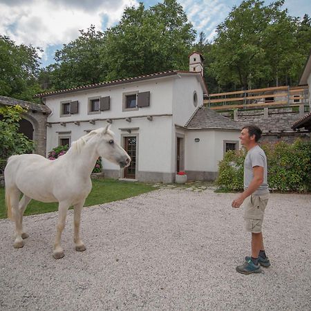 Tmbin'S Barn - Nature, Horses, Family Sežana Exteriér fotografie