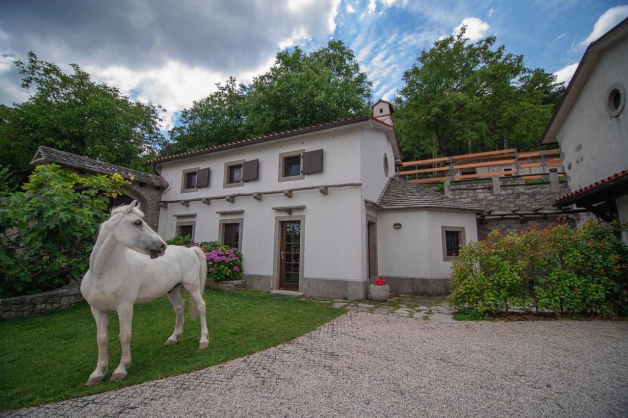 Tmbin'S Barn - Nature, Horses, Family Sežana Exteriér fotografie
