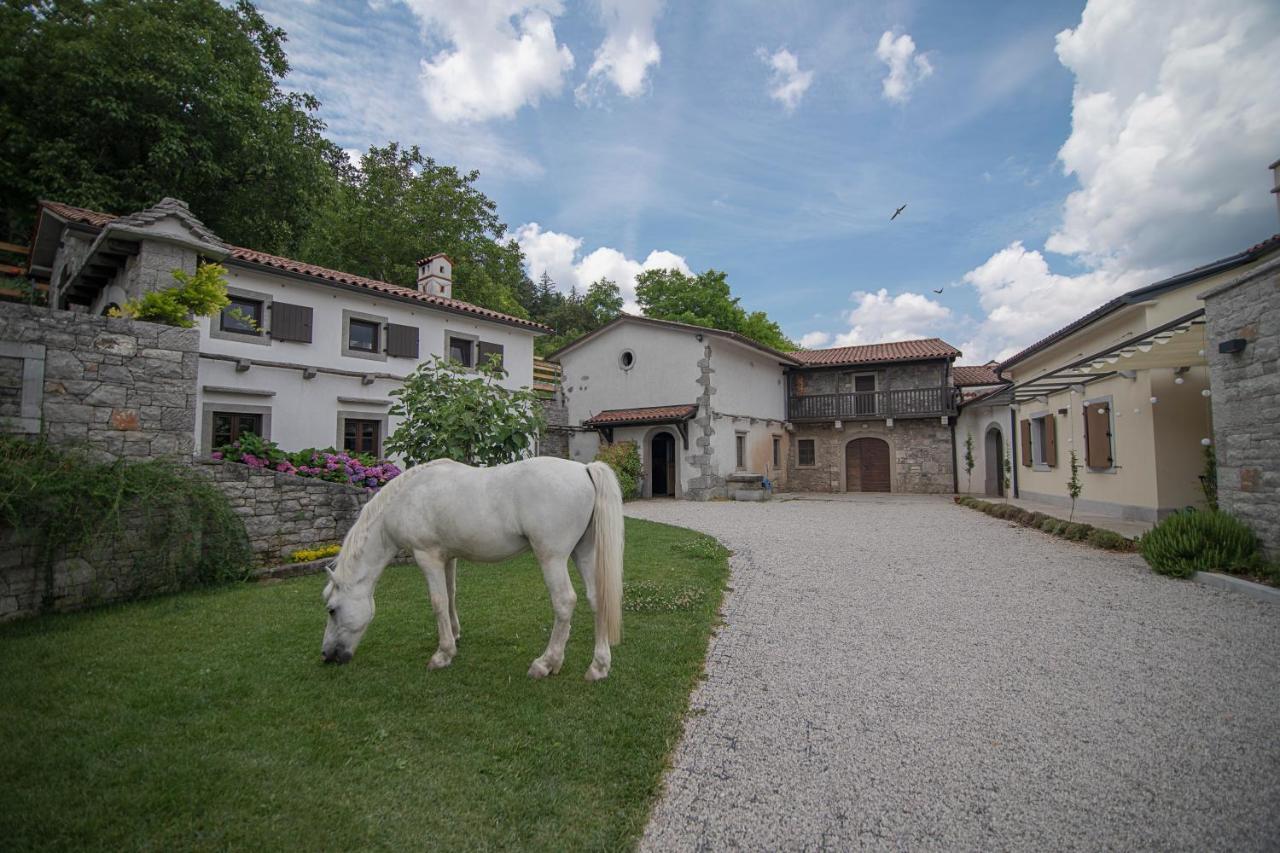 Tmbin'S Barn - Nature, Horses, Family Sežana Exteriér fotografie