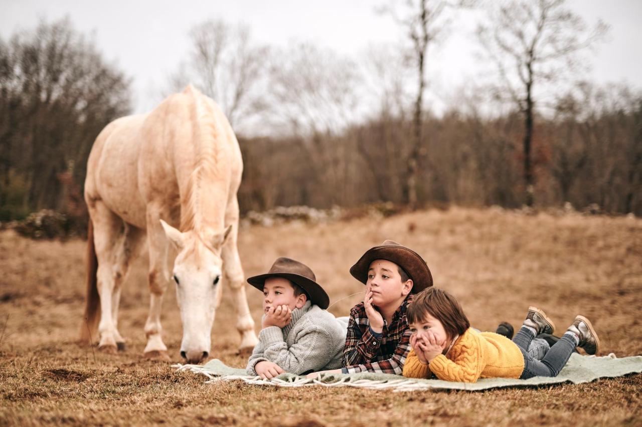 Tmbin'S Barn - Nature, Horses, Family Sežana Exteriér fotografie
