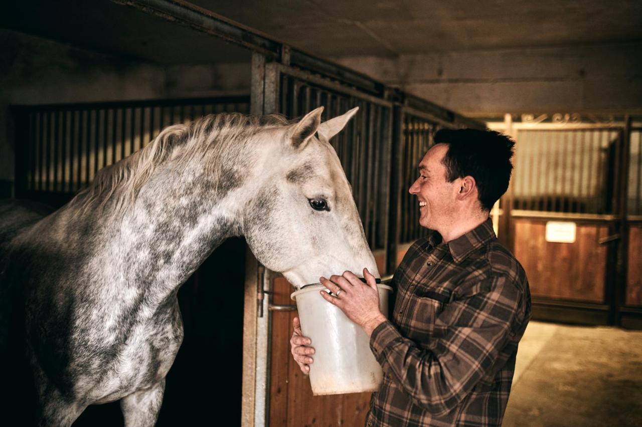 Tmbin'S Barn - Nature, Horses, Family Sežana Exteriér fotografie