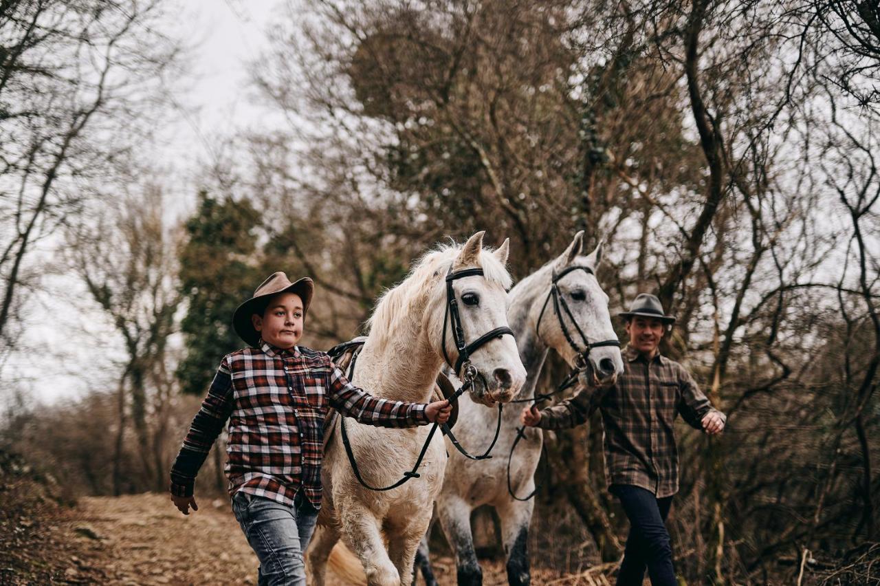 Tmbin'S Barn - Nature, Horses, Family Sežana Exteriér fotografie